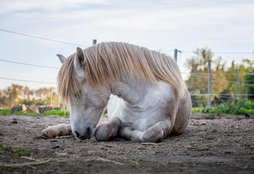 B&b Maison D Hôte Et Gite Mas D Eymard