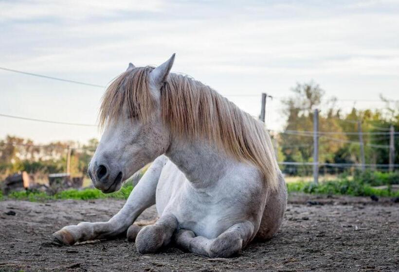 B&b Maison D Hôte Et Gite Mas D Eymard