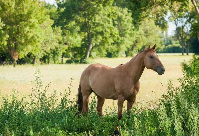 B&b Maison D Hôte Et Gite Mas D Eymard