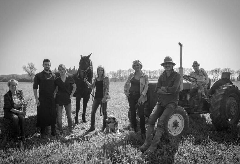 B&b Maison D Hôte Et Gite Mas D Eymard