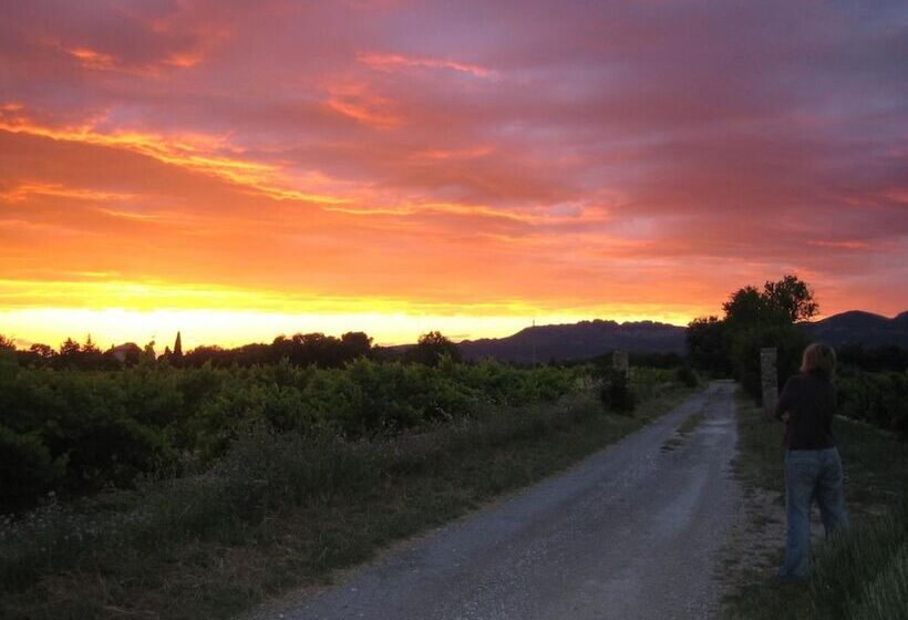 Bed and Breakfast Auberge Du Vin