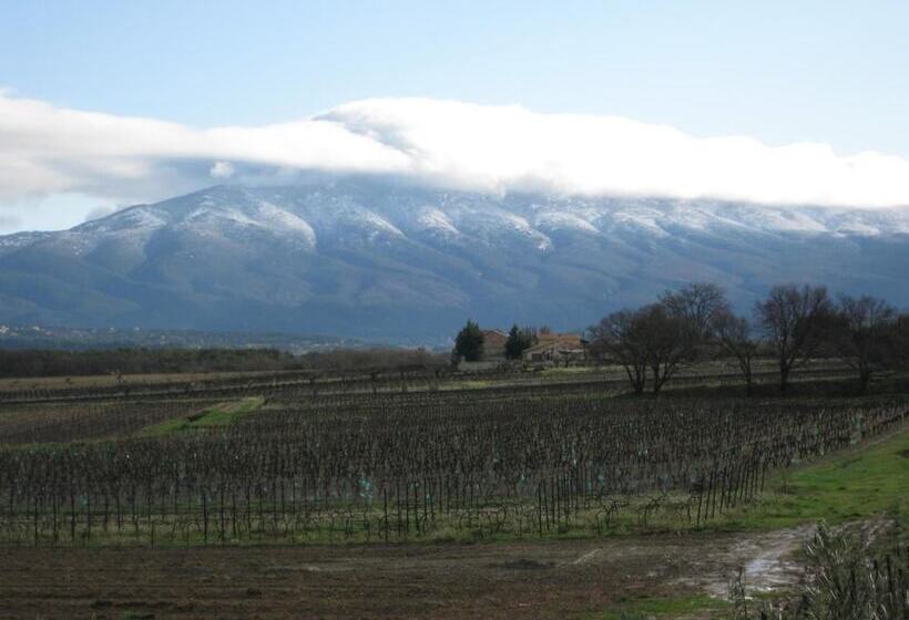 Bed and Breakfast Auberge Du Vin