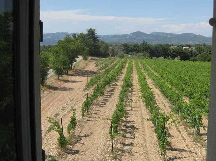 Bed and Breakfast Auberge Du Vin