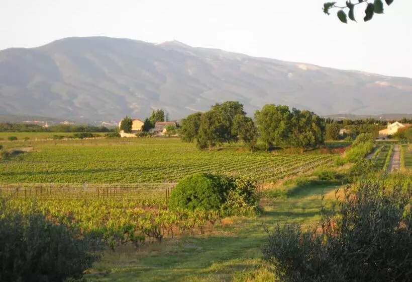 ベッドアンドブレックファースト Auberge Du Vin