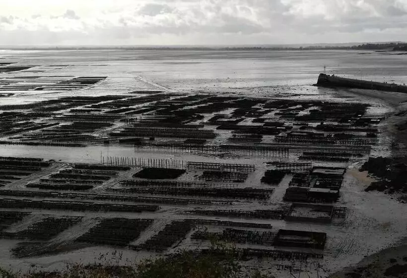 ベッドアンドブレックファースト Chambres D'hôtes Les Fleurettes En Baie Du Mont Saint Michel