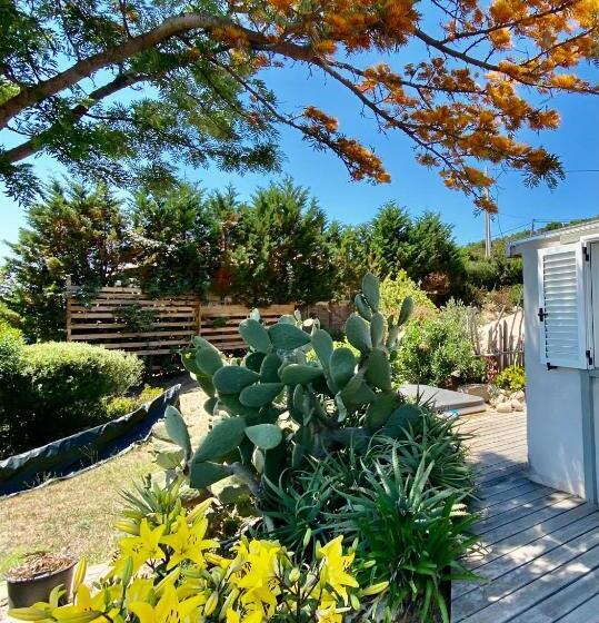 צימר Fiore Di Machja