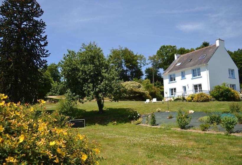 צימר L Araucaria Chambres D Hôtes Et Gîte