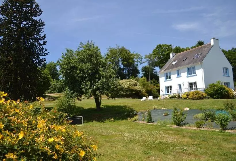 ベッドアンドブレックファースト L Araucaria Chambres D Hôtes Et Gîte