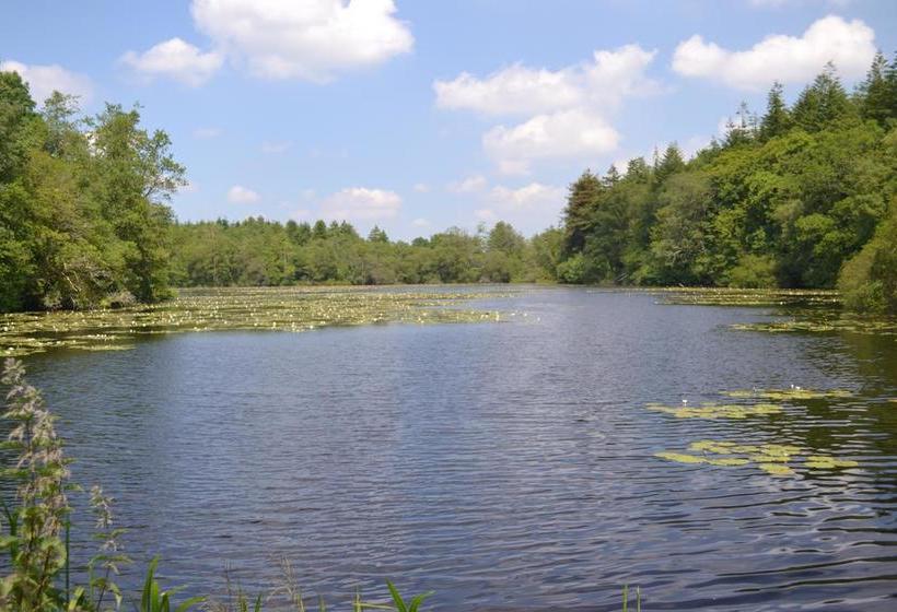 צימר L Araucaria Chambres D Hôtes Et Gîte