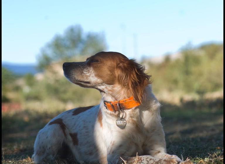 Bed and Breakfast La Fontaine