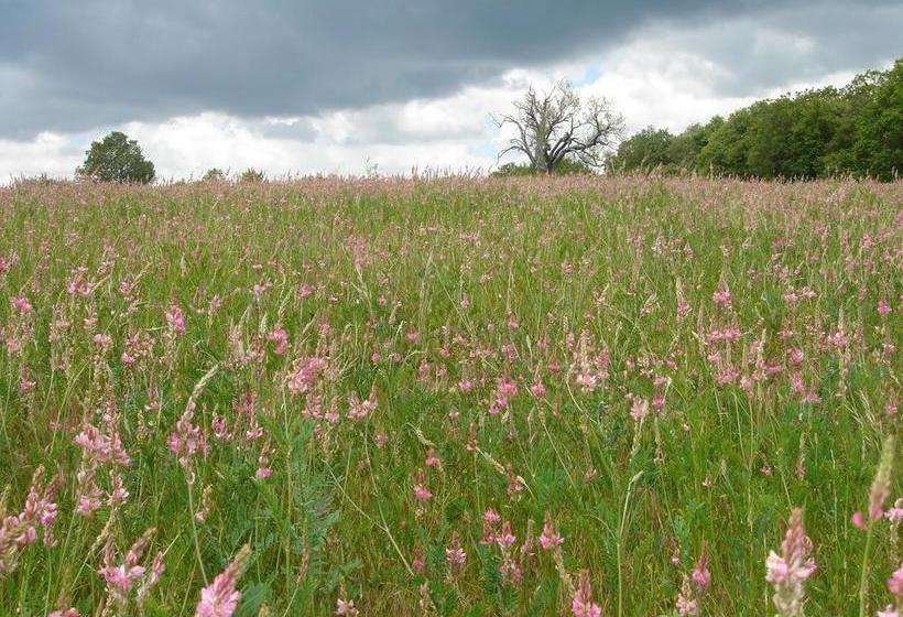 Bed and Breakfast La Fontaine