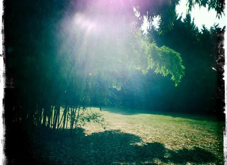مبيت وإفطار Le Beauvais, Son Gîte, Ses Chambres En Bourgogne