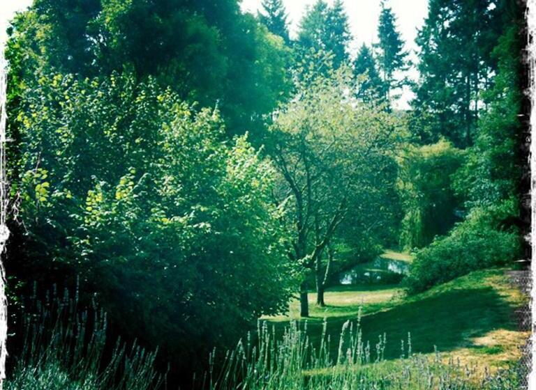 مبيت وإفطار Le Beauvais, Son Gîte, Ses Chambres En Bourgogne