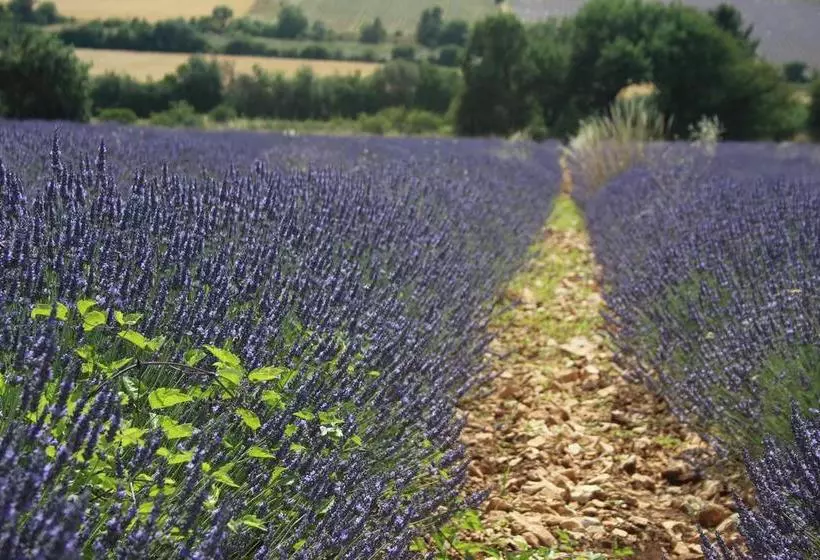 تختخواب و صبحانه Le Mas Des Lônes