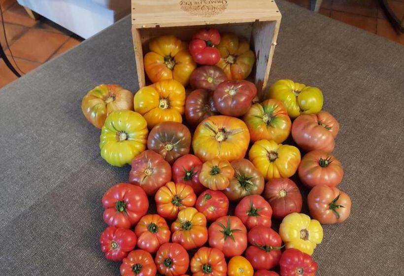 ベッドアンドブレックファースト Maison D Hôtes De Charme Les Bruhasses