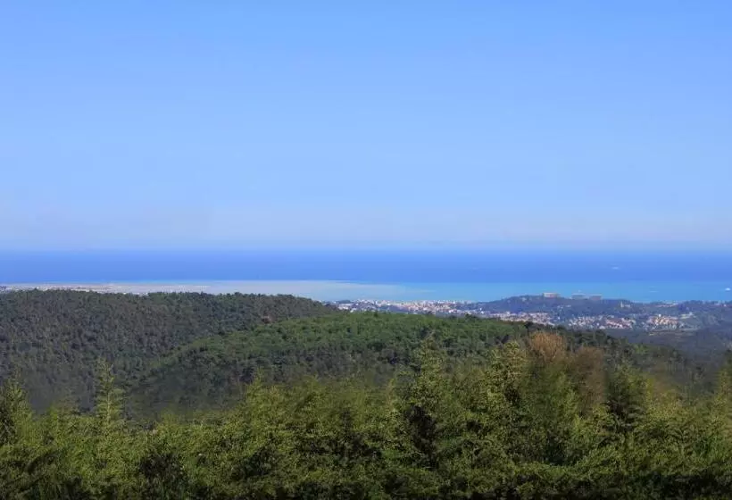 تختخواب و صبحانه Maison D'hôtes Bleu Azur
