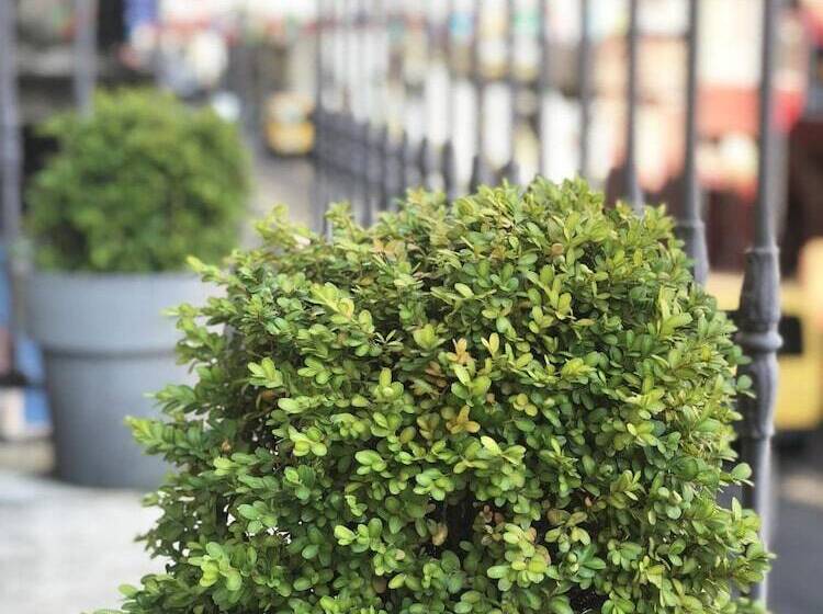 בית מלון כפרי Bleu De Mer