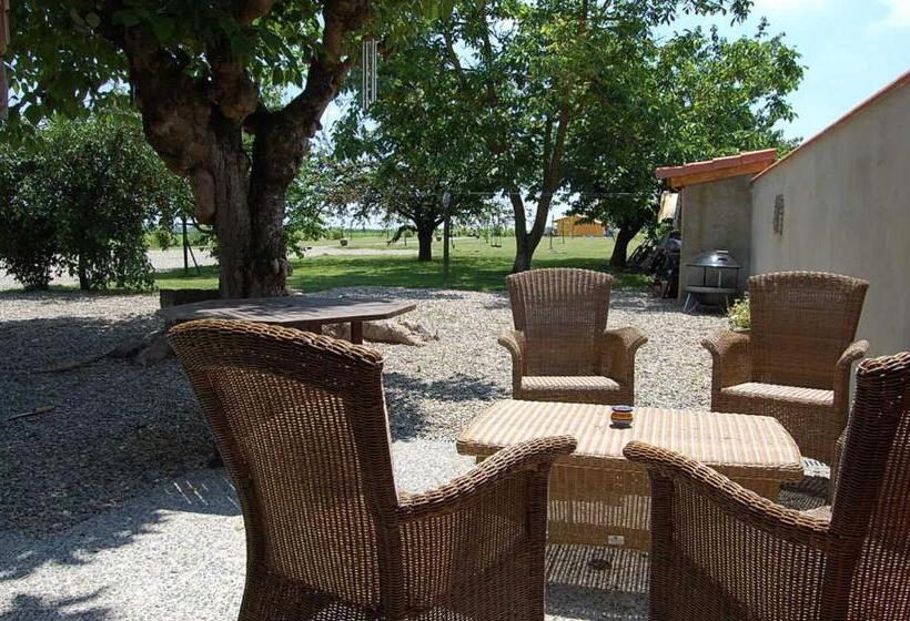 Bed and Breakfast Douce France 82