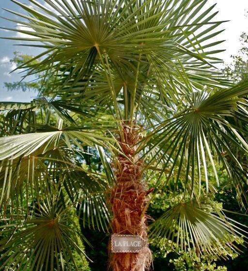 Aamiaismajoitus (B&B) Chambre D Hotes La Villa Molina