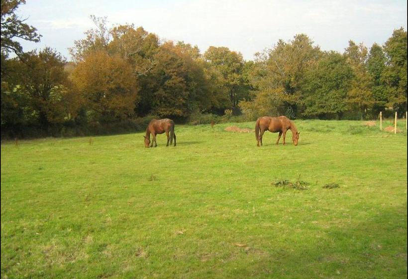 住宿加早餐  Gites De La Riaudaie