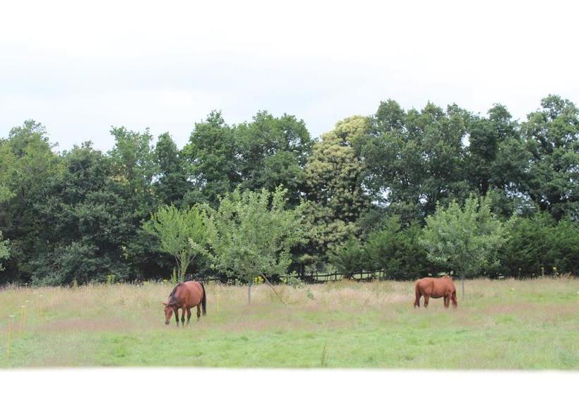 住宿加早餐  Gites De La Riaudaie