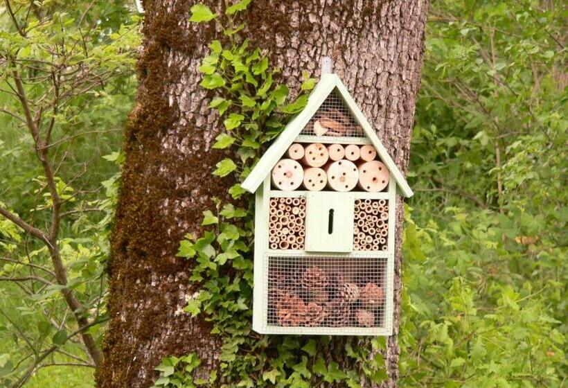 ベッドアンドブレックファースト Chambre D'hôte L'arrivée