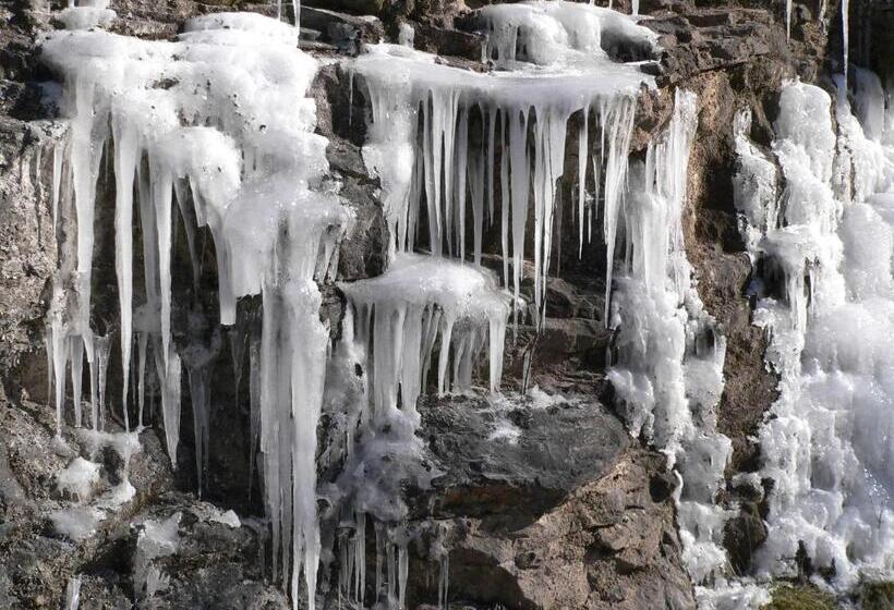 ベッドアンドブレックファースト Chambre D'hôte L'arrivée