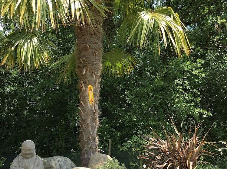 ベッドアンドブレックファースト La Forestière