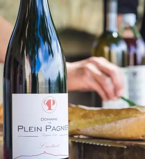 ベッドアンドブレックファースト Le Mas De Plein Pagnier