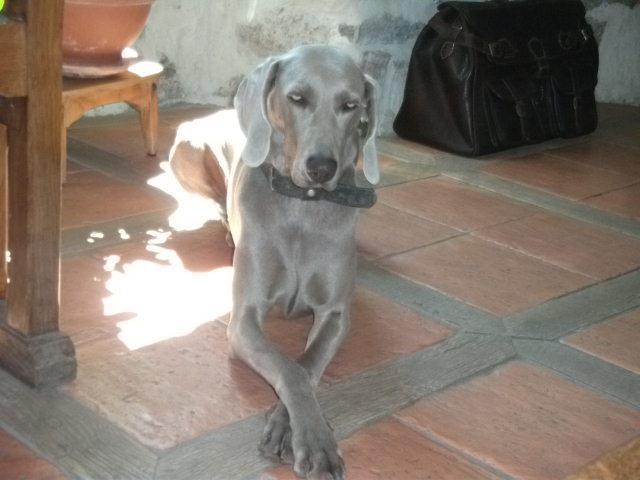 צימר Les Capitelles