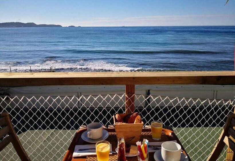 住宿加早餐  Stella Maris