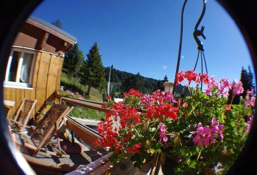 Hotelli Auberge Du Virage