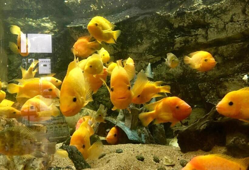 ホテル Hôtel Restaurant De L Europort