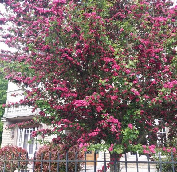 Bed and Breakfast Le Castel Guesthouse