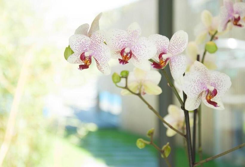 ベッドアンドブレックファースト Maison Ronan Kervarrec Rennes Saint Grégoire