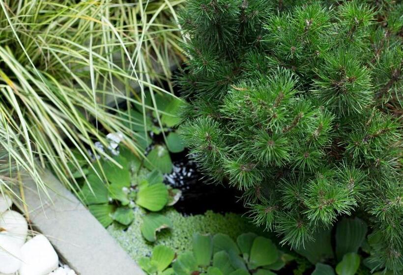 ベッドアンドブレックファースト Maison Ronan Kervarrec Rennes Saint Grégoire