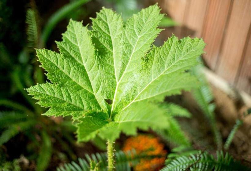 ベッドアンドブレックファースト Maison Ronan Kervarrec Rennes Saint Grégoire