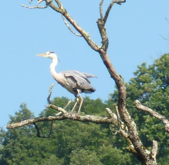 فندق Auberge Du Viaduc