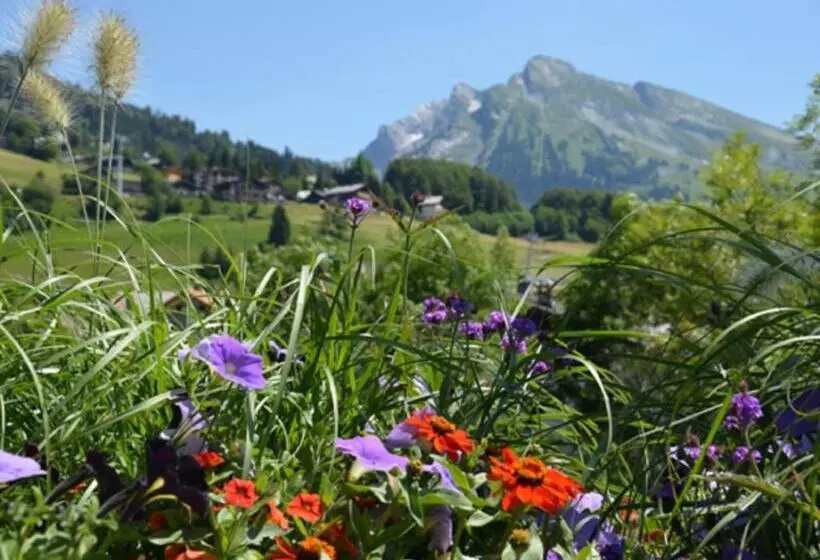 هتل Chalet Hôtel Du Borderan