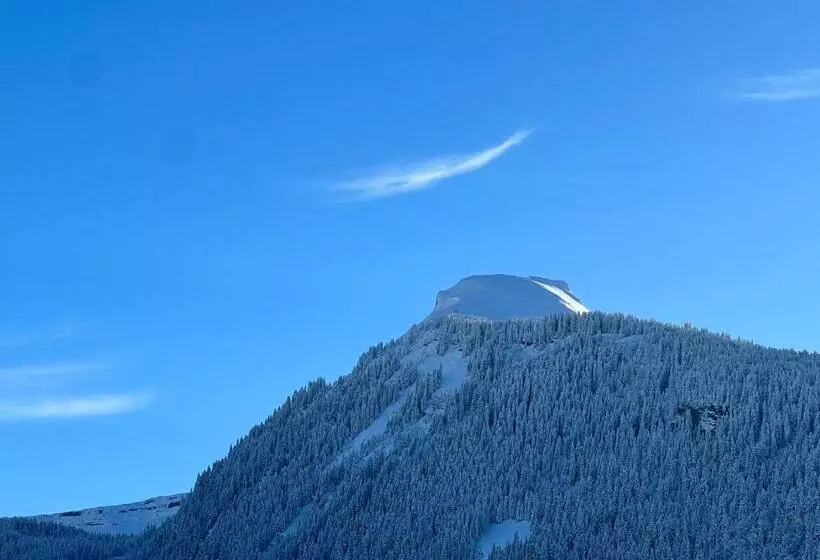 هتل Hôtel Igloo