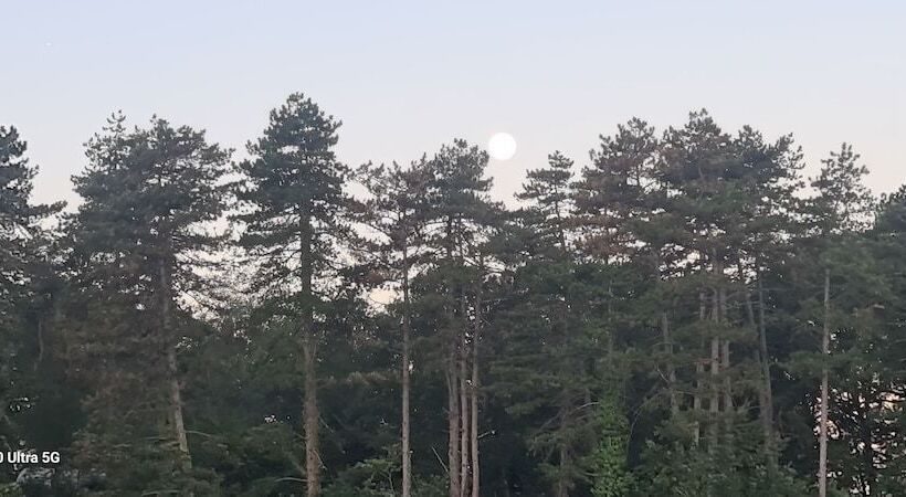 酒店 Hôtel Restaurant Du Lac