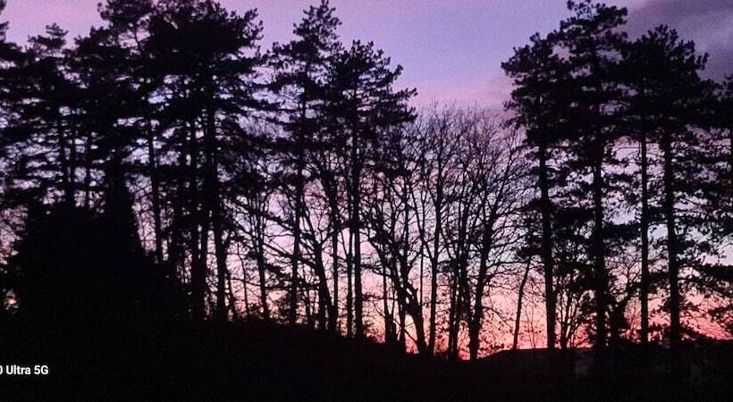 酒店 Hôtel Restaurant Du Lac