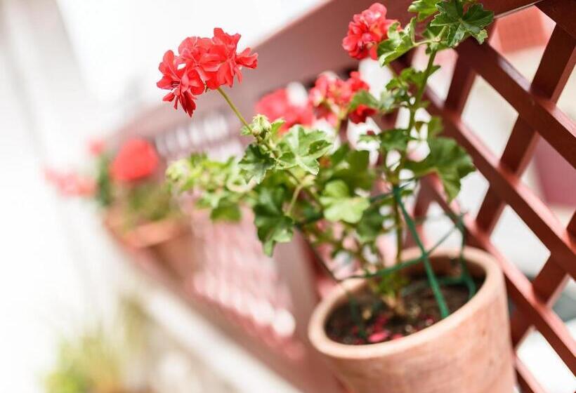 בית מלון כפרי Les Almadies Coeur De Ville