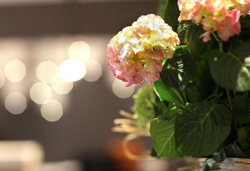 酒店 Relais Saint Jacques  Chateauroux