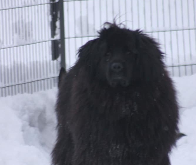 בית מלון כפרי Logis Hôtel Restaurant De La Dore