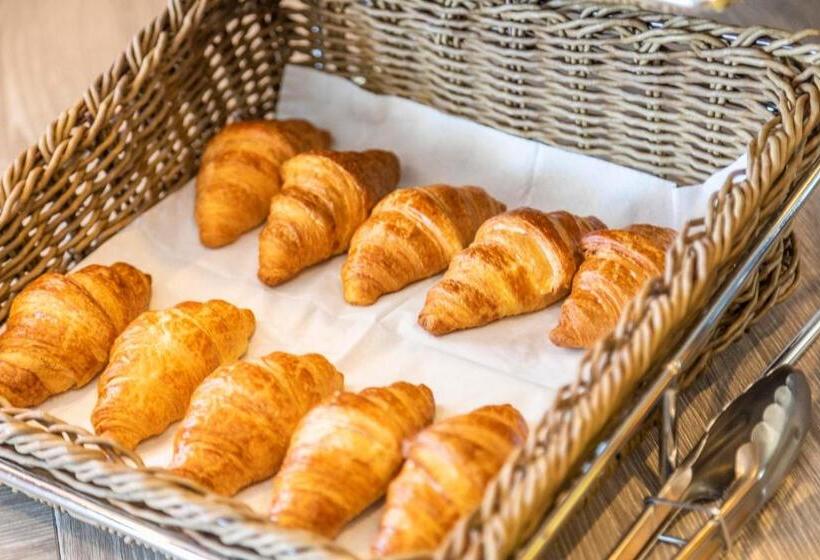 בית מלון כפרי Shegara