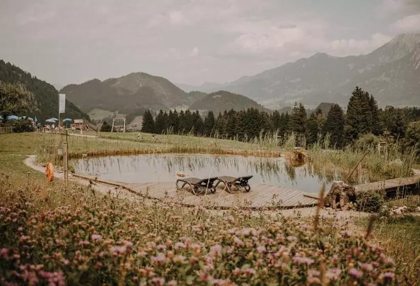 Hotel Alpe Dornach