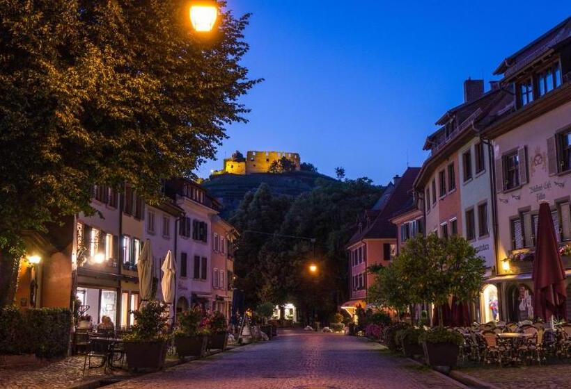 בית מלון כפרי Die Krone