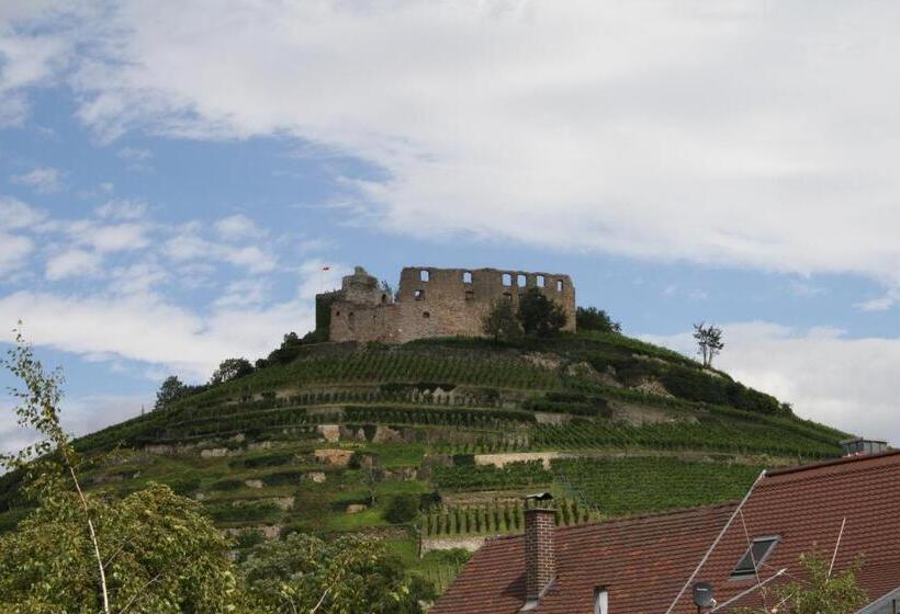 בית מלון כפרי Die Krone