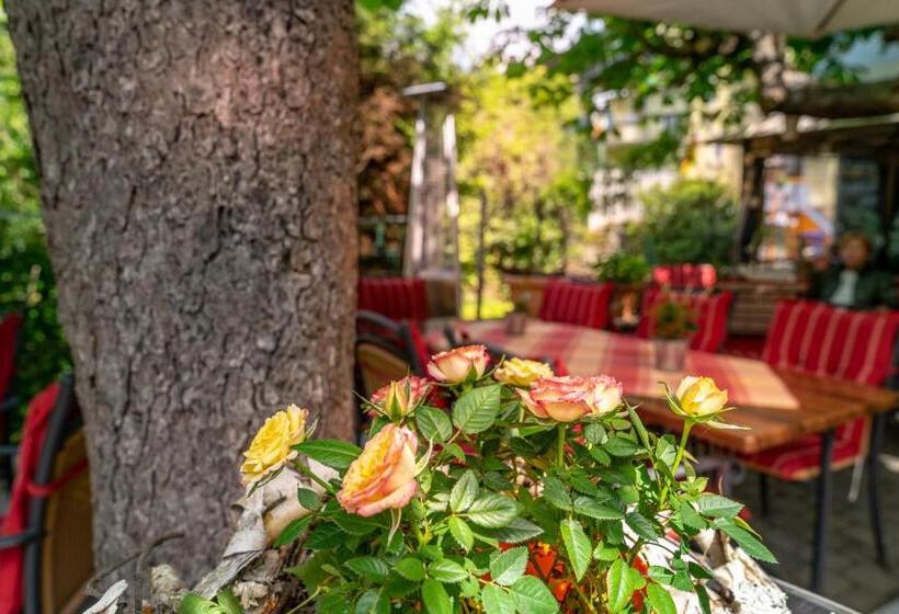 בית מלון כפרי Goldener Pfropfenzieher